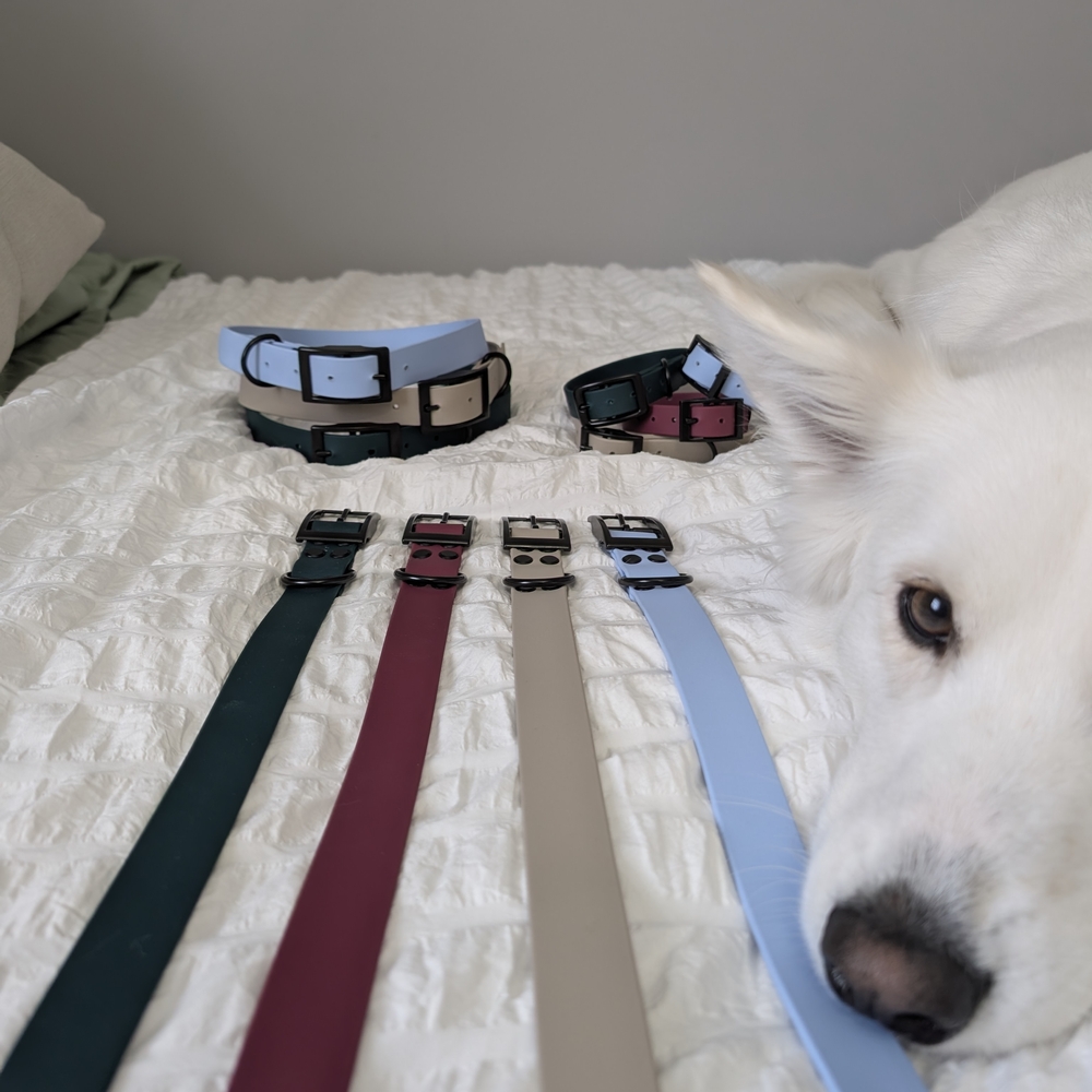 Biothane Dog Collars - Picture 3 of 4